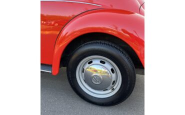 Volkswagen-Beetle-1978-Red-Black-19