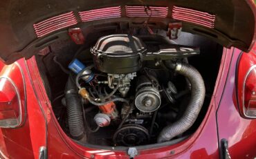Volkswagen-Super-beetle-1971-Red-Red-2