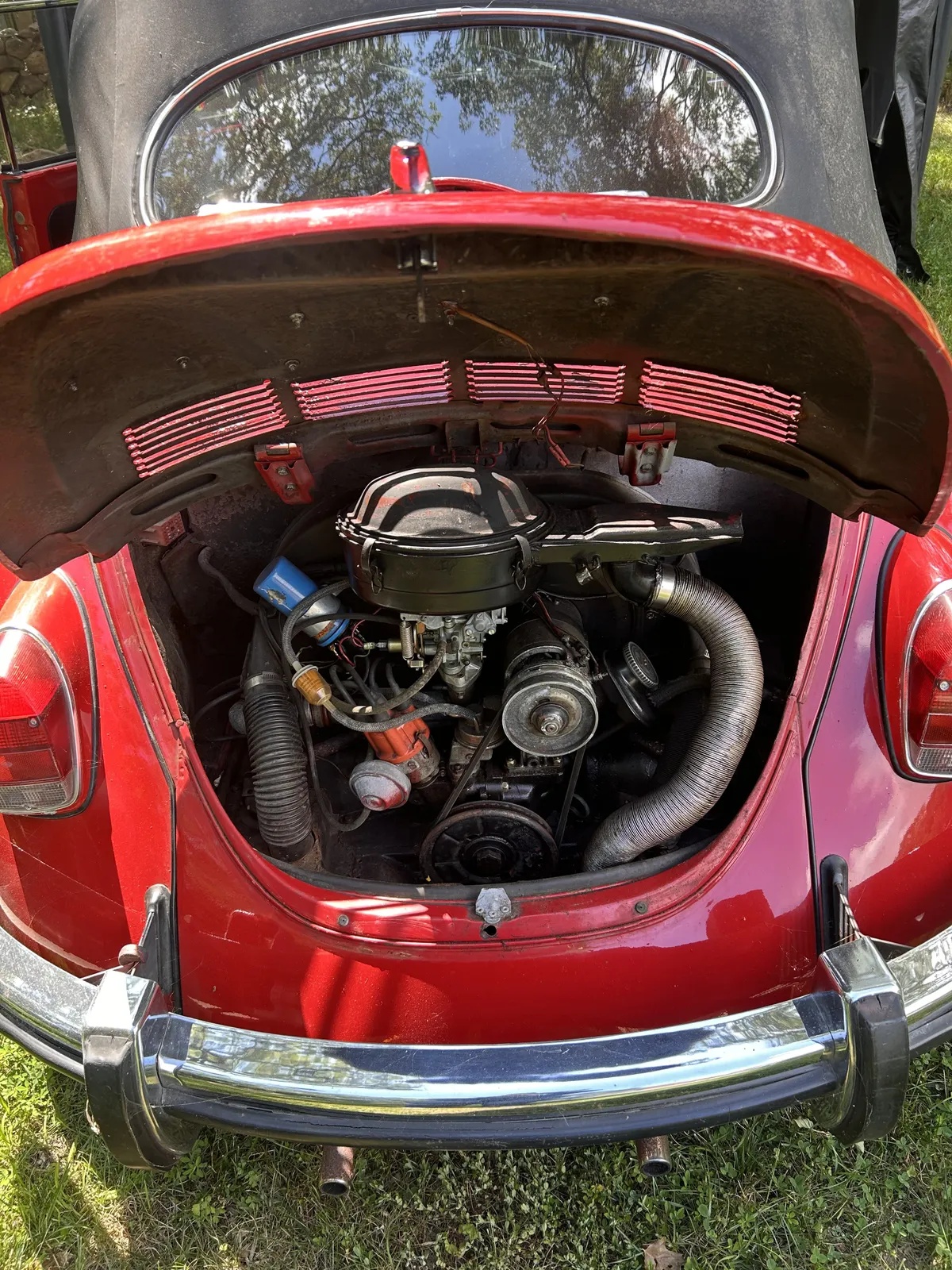 Volkswagen-Super-beetle-1971-Red-Red-2