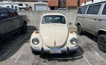 Volkswagen-Super-beetle-1972-6