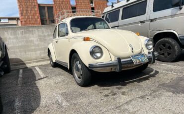 Volkswagen-Super-beetle-1972-8