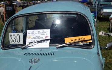 Volkswagen-Super-beetle-1972-Blue-Blue-14