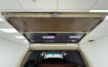 Volkswagen-Type-2-1969-Savannah-Beige-Brown-2