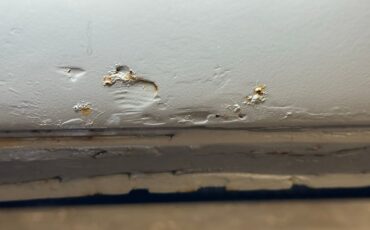 Volkswagen-Type-2-1969-Savannah-Beige-Brown-30