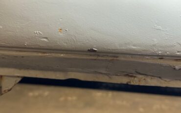 Volkswagen-Type-2-1969-Savannah-Beige-Brown-31