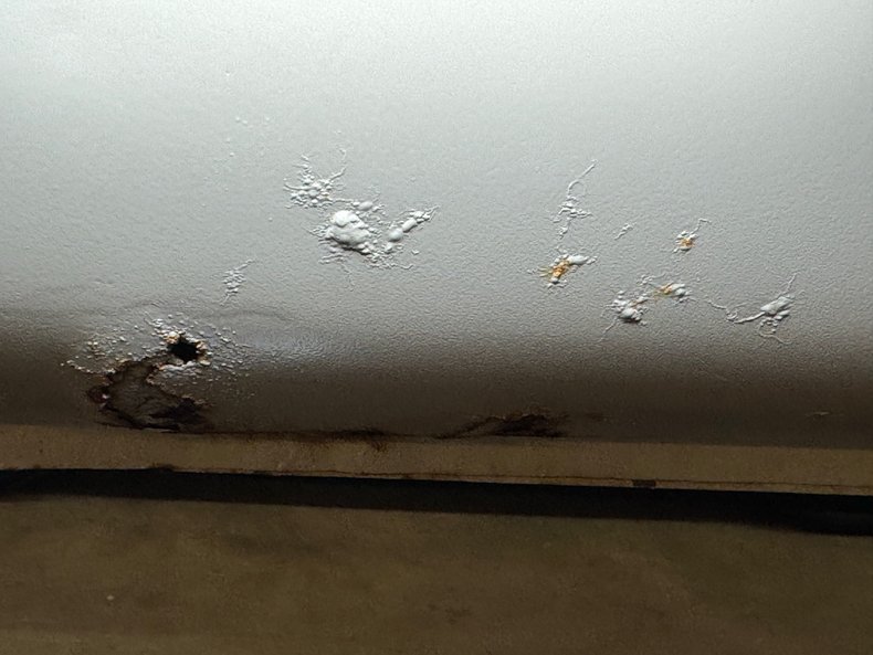 Volkswagen-Type-2-1969-Savannah-Beige-Brown-38