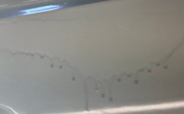 Volkswagen-Type-2-1969-Savannah-Beige-Brown-43