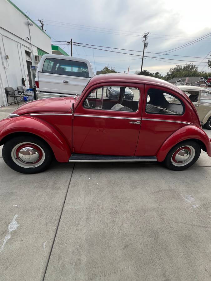 Volkswagen-beetle-1959-red-21