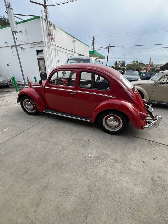 Volkswagen-beetle-1959-red-3