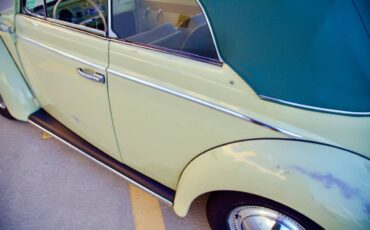 Volkswagen-beetle-1960-green-11