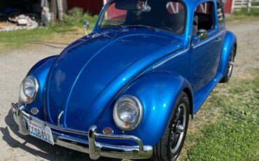 Volkswagen-beetle-1963-blue-1