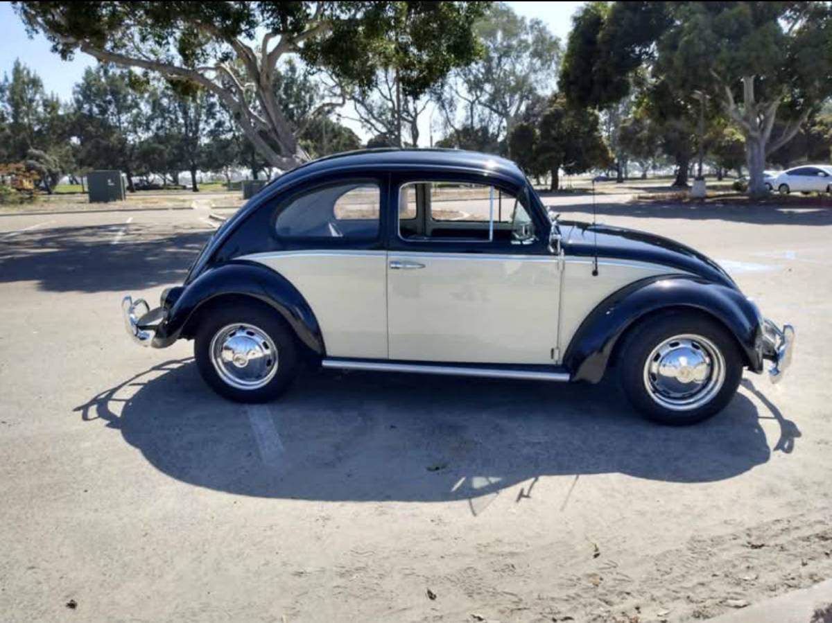 Volkswagen-beetle-1963-custom-4