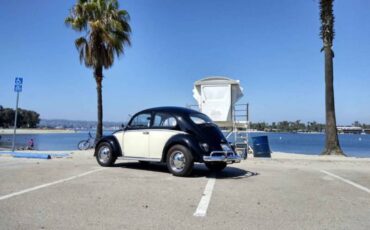 Volkswagen-beetle-1963-custom-7