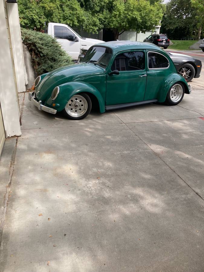 Volkswagen-beetle-1964-green-2