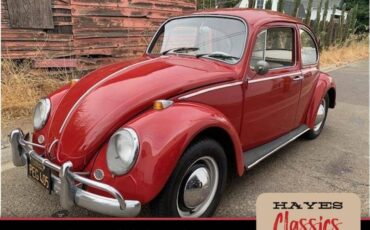 Volkswagen-beetle-1965-34