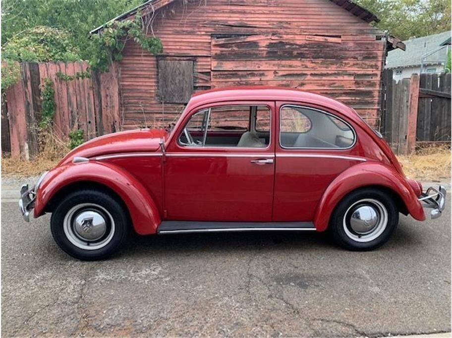 Volkswagen-beetle-1965-35