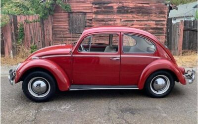Volkswagen beetle 1965