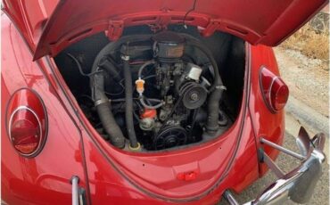 Volkswagen-beetle-1965-5