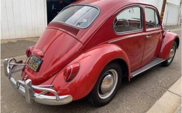 Volkswagen-beetle-1965-55