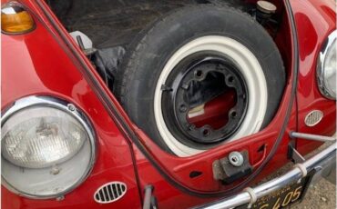 Volkswagen-beetle-1965-66