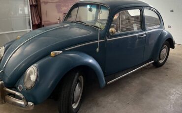Volkswagen-beetle-1966-1