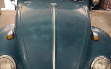 Volkswagen-beetle-1966-5
