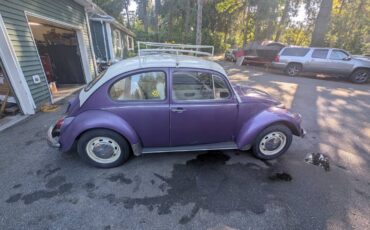 Volkswagen-beetle-1968-purple-12