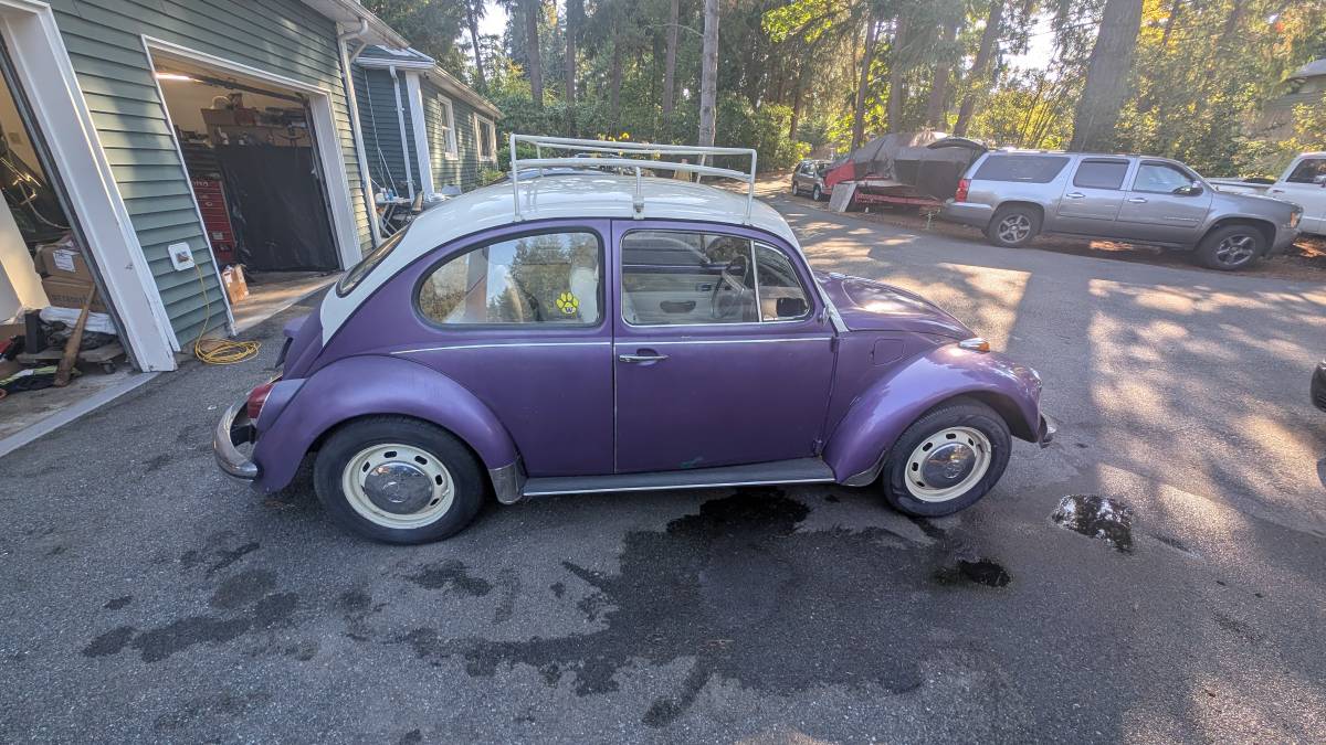 Volkswagen-beetle-1968-purple-12