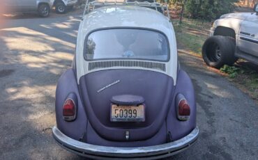 Volkswagen-beetle-1968-purple-2