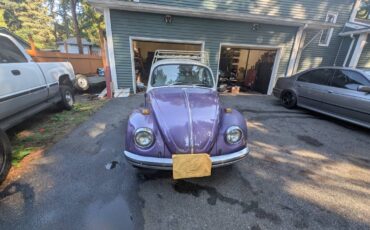 Volkswagen-beetle-1968-purple-3