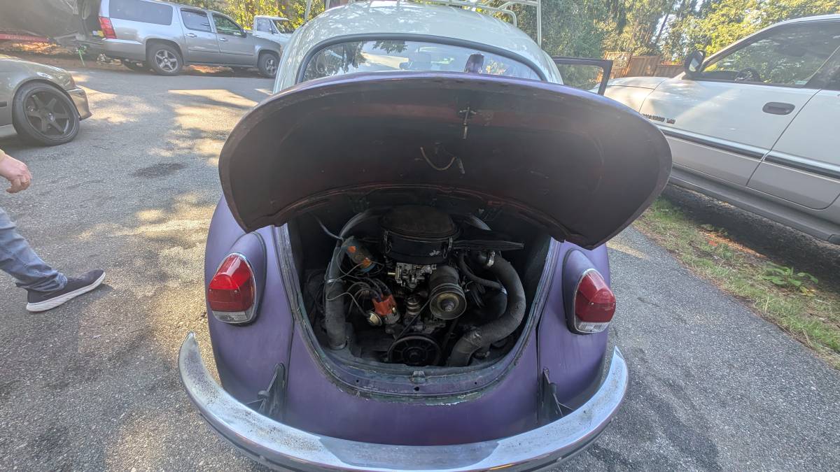 Volkswagen-beetle-1968-purple-6