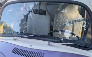 Volkswagen-beetle-1968-purple-8