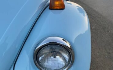 Volkswagen-beetle-1969-blue-2