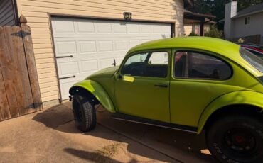 Volkswagen-beetle-1970-green-1