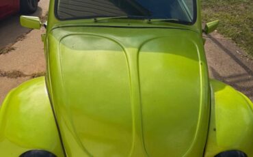 Volkswagen-beetle-1970-green