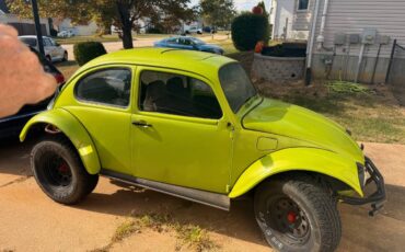 Volkswagen-beetle-1970-green-5