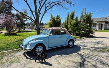 Volkswagen-beetle-1972-blue-1