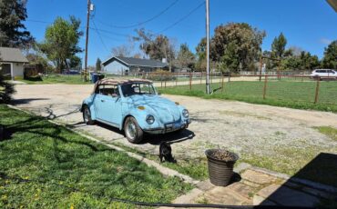 Volkswagen-beetle-1972-blue-7