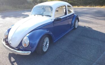Volkswagen-beetle-1974-1