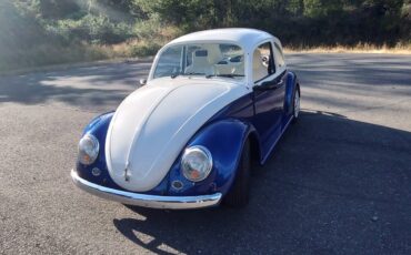 Volkswagen-beetle-1974-15