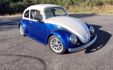 Volkswagen-beetle-1974