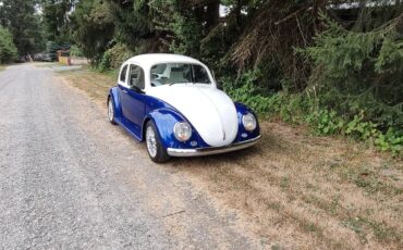 Volkswagen-beetle-1974-9