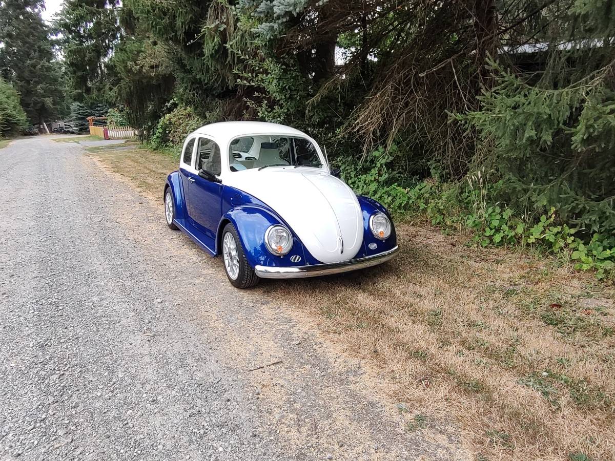 Volkswagen-beetle-1974-9