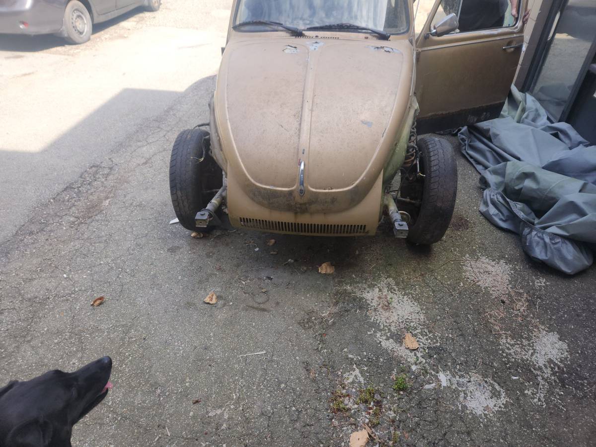 Volkswagen-beetle-1975-1