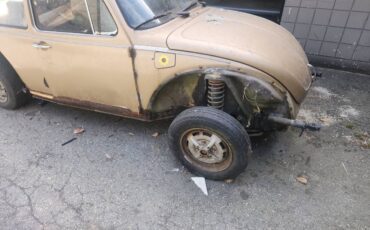Volkswagen-beetle-1975-2