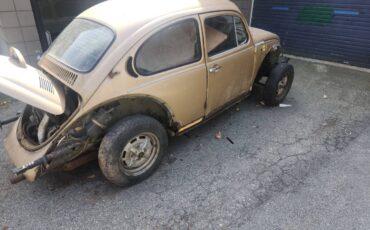 Volkswagen-beetle-1975-5