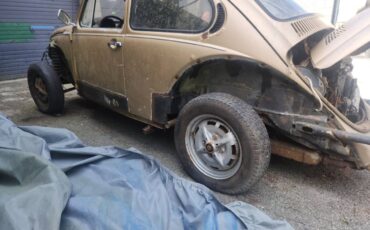 Volkswagen-beetle-1975-7