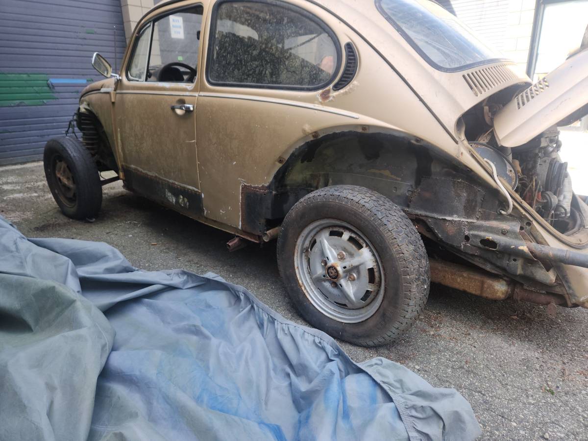 Volkswagen-beetle-1975-7