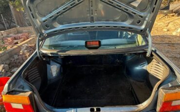 Volkswagen-beetle-1988-blue-2