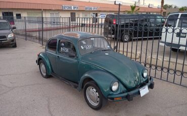Volkswagen-beetle-1996-green-5